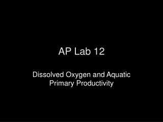 AP Lab 12
