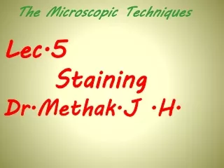 Lec.5 Staining Dr.Methak.J .H.