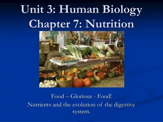 Unit 3: Human Biology Chapter 7: Nutrition