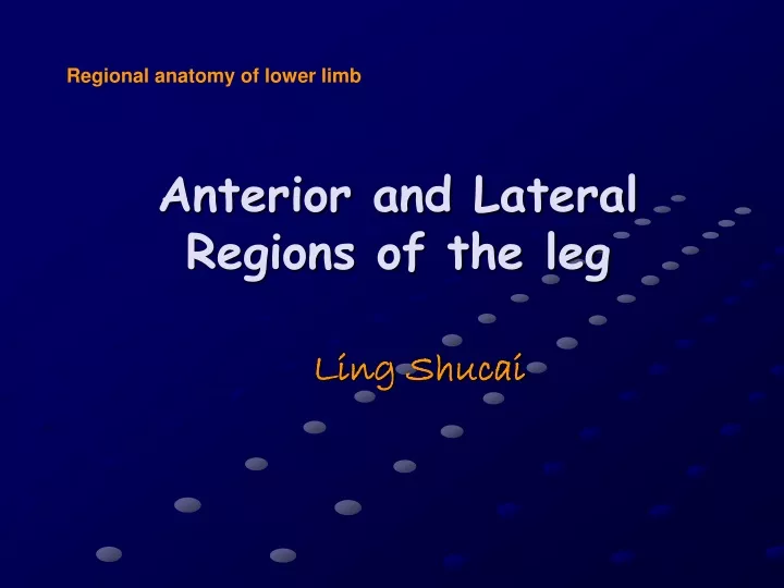 anterior and lateral regions of the leg
