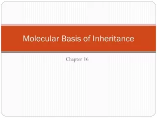 Molecular Basis of Inheritance