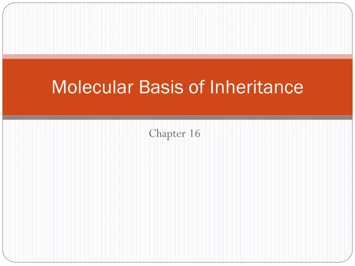 molecular basis of inheritance