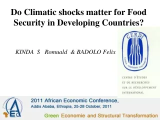 Do Climatic shocks matter for Food Security in Developing Countries?