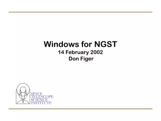 Windows for NGST 14 February 2002  Don Figer