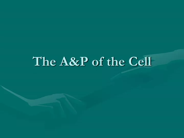 the a p of the cell