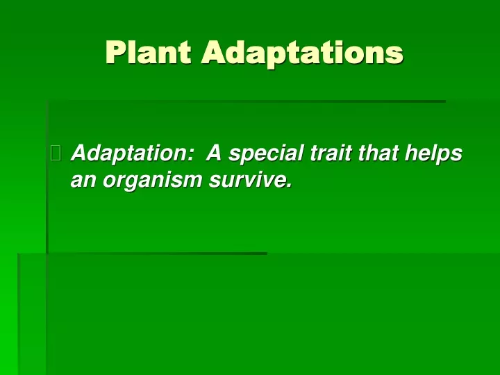 plant adaptations