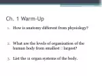 Anatomy & Physiology: Exploring Body Organization and Function - slide 1