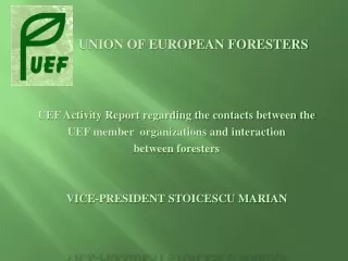 UNION OF EUROPEAN FORESTERS UEF Activity Report regarding the contacts between the