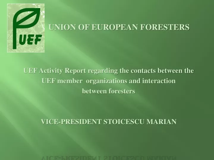 union of european foresters uef activity report