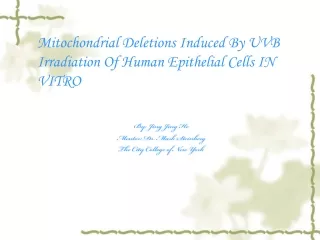 Mitochondrial Deletions Induced By UVB Irradiation Of Human Epithelial Cells  IN VITRO