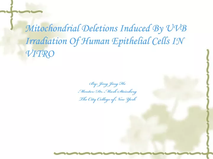 mitochondrial deletions induced