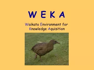 W E K A