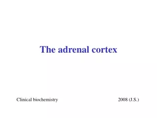 The adrenal cortex