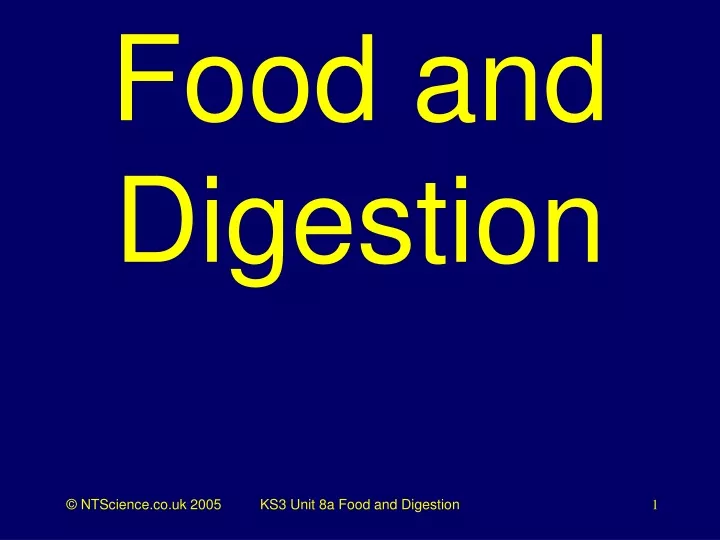 food and digestion