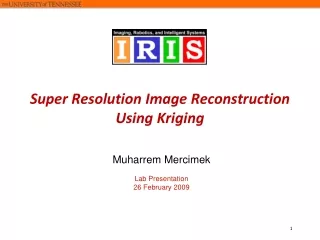 Super Resolution Image Reconstruction Using Kriging
