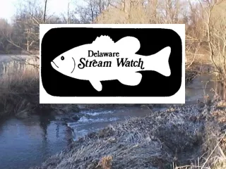 What Is Delaware Stream Watch?
