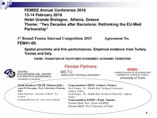 1 st  Round Femise Internal Competition 2015             Agreement No.  FEM41-09 .