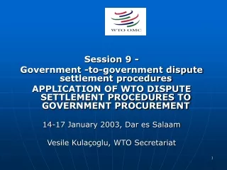 Session 9 -  Government -to-government dispute settlement procedures