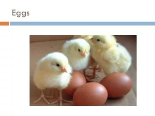 Eggs