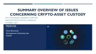 SUMMARY OVERVIEW OF ISSUES CONCERNING CRYPTO-ASSET CUSTODY