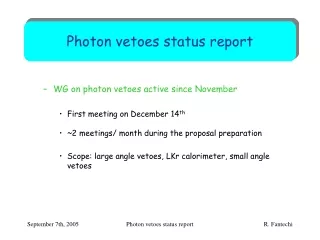 Photon vetoes status report
