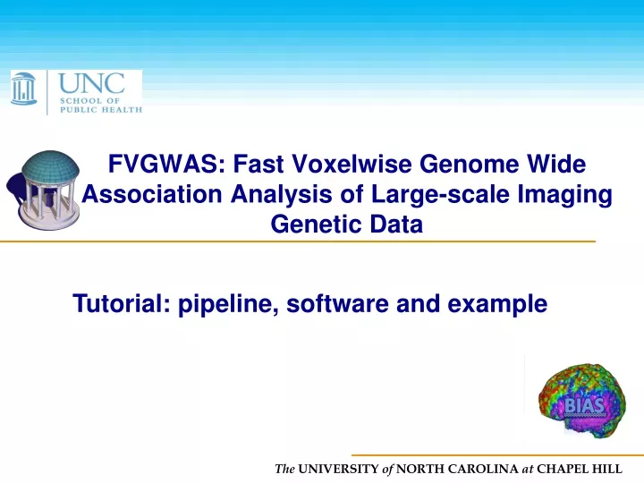 fvgwas fast voxelwise genome wide association analysis of large scale imaging genetic data