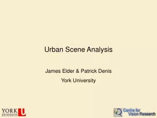 Urban Scene Analysis
