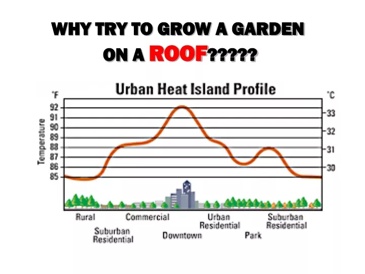 why try to grow a garden on a roof