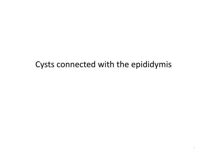 cysts connected with the epididymis