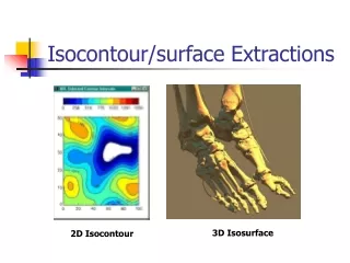 Isocontour/surface Extractions