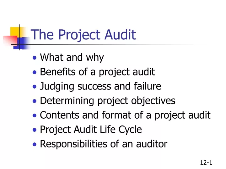 the project audit