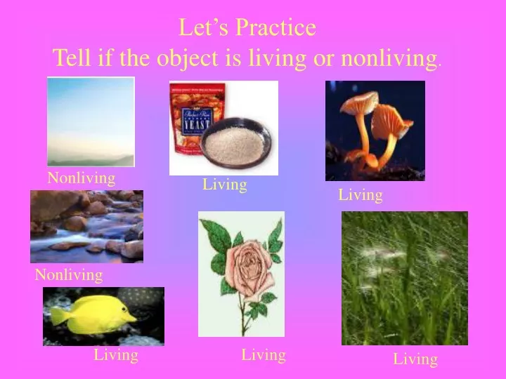 let s practice tell if the object is living