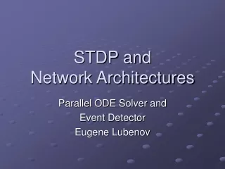 STDP and  Network Architectures