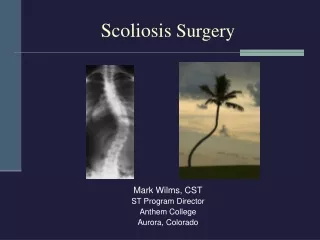 Scoliosis  Surgery