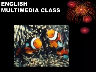ENGLISH MULTIMEDIA CLASS