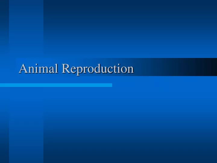 animal reproduction