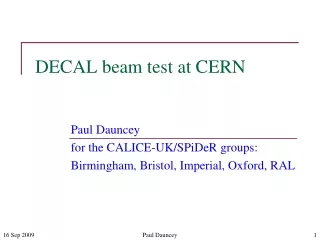 DECAL beam test at CERN