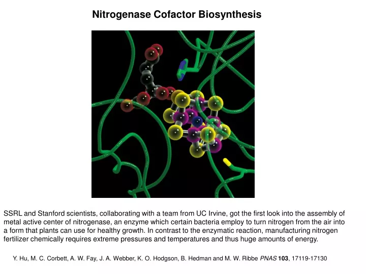 nitrogenase cofactor biosynthesis