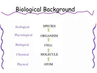 Biological Background
