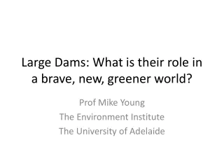 Large Dams: What is their role in a brave, new, greener world?