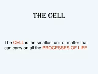 The Cell