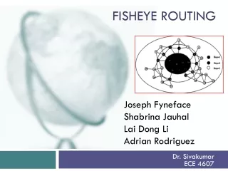 FishEye  routing