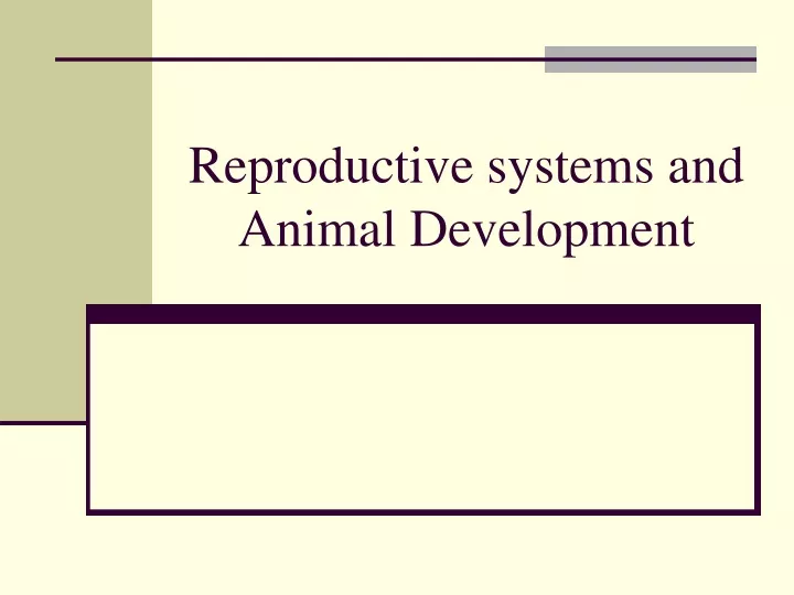 reproductive systems and animal development