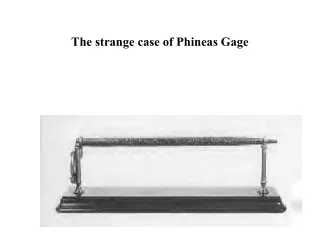 The strange case of Phineas Gage