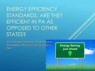 ENERGY EFFICIENCY STANDARDS: ARE THEY EFFICIENT IN PA AS OPPOSED TO OTHER STATES?