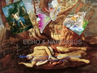 ECHO &amp; NARCISSUS