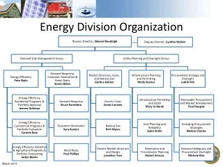 Energy Division Organization
