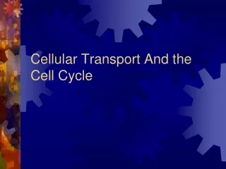 Cellular Transport And the Cell Cycle