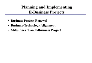 Planning and Implementing  E-Business Projects