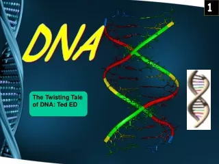 DNA